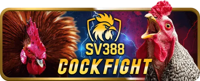 Bảo mật và quyền riêng tư 333vin casino